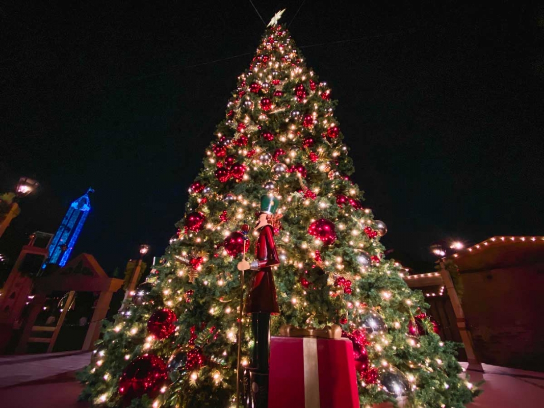 Knott's Merry Farm tree lighting