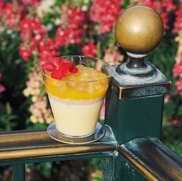 Disney Passionfruit