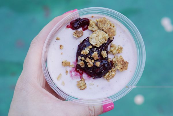 boysenberry panna cotta