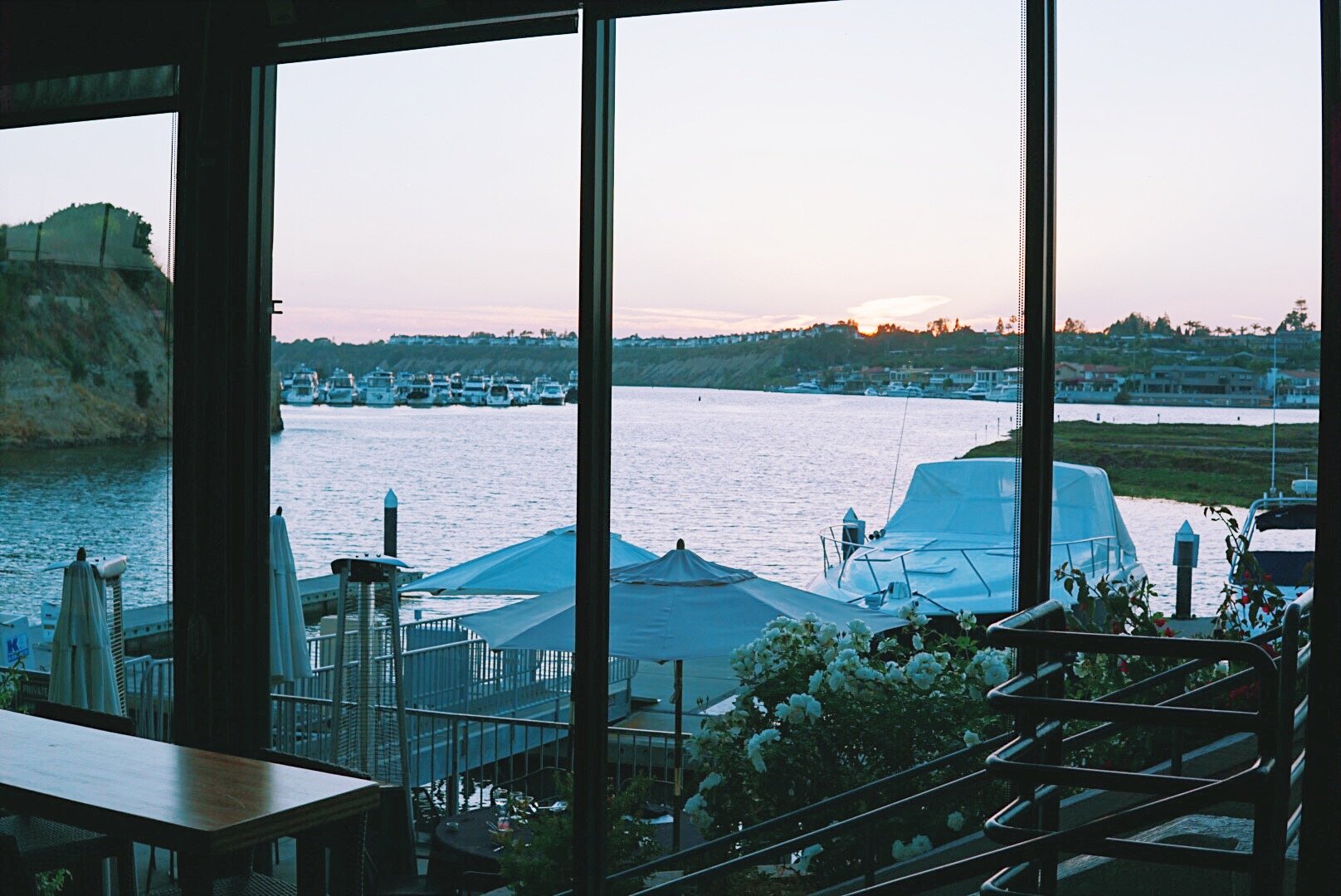 Back Bay Bistro Revamps Their Menu With Some New Tasty Additions