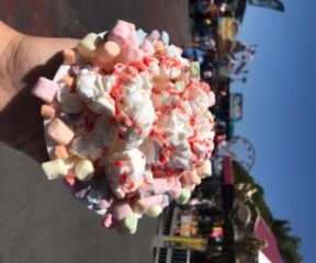 Here's Our Guide on Everything to Enjoy at This Years 2017 OC Fair 5