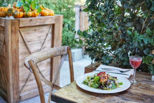 farmhouse salmon salad