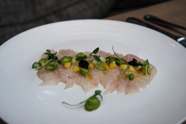 five crowns crudo