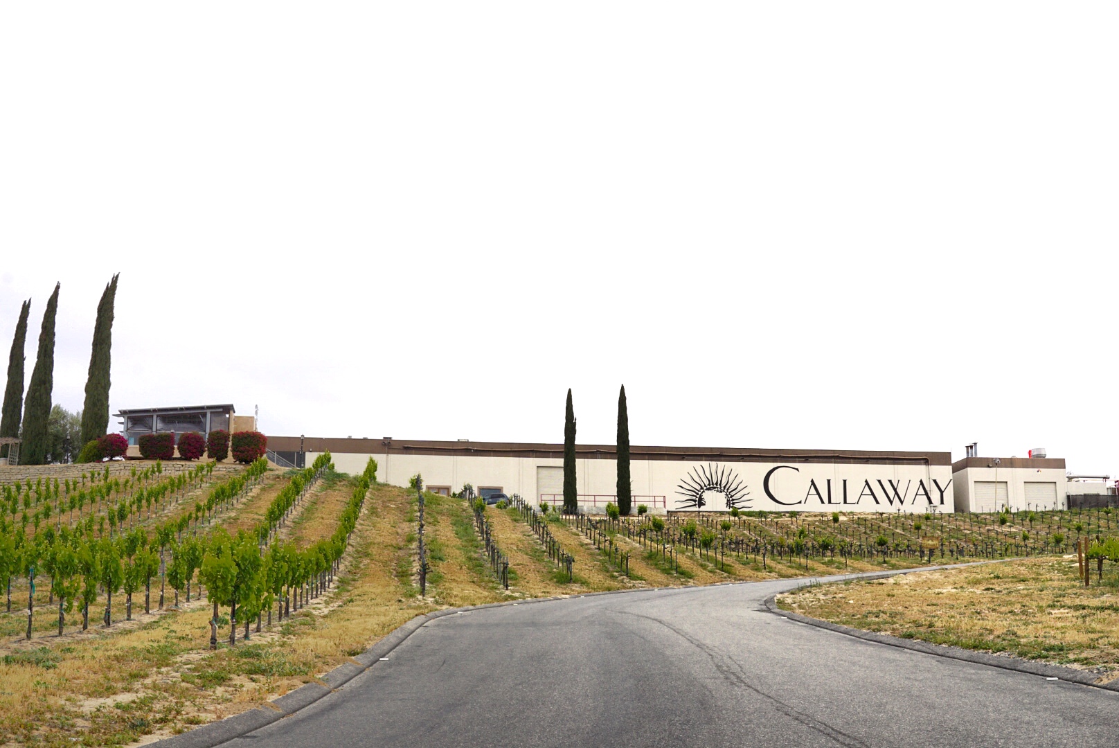 Callaway Winery