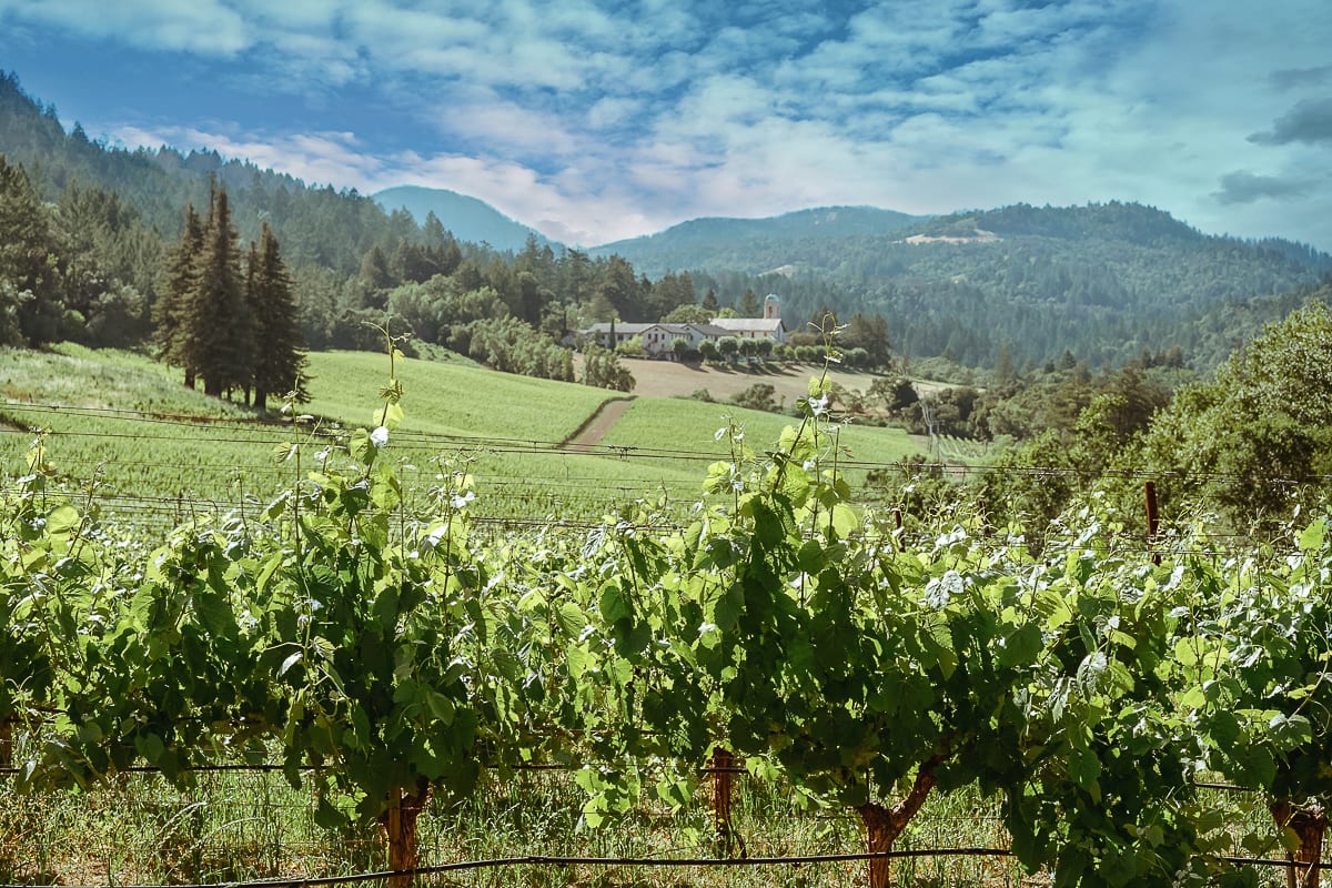 One Of The Best Napa Wineries Combines Art, Delicious Pairings ...