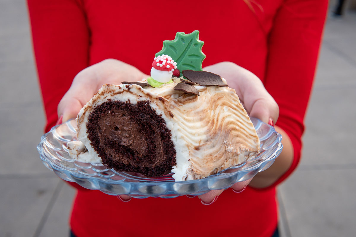 disneyland yule log