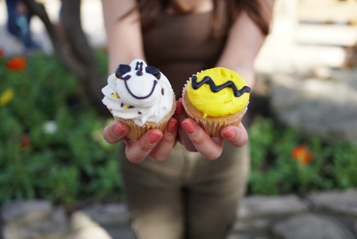 knotts snoopy cupcakes