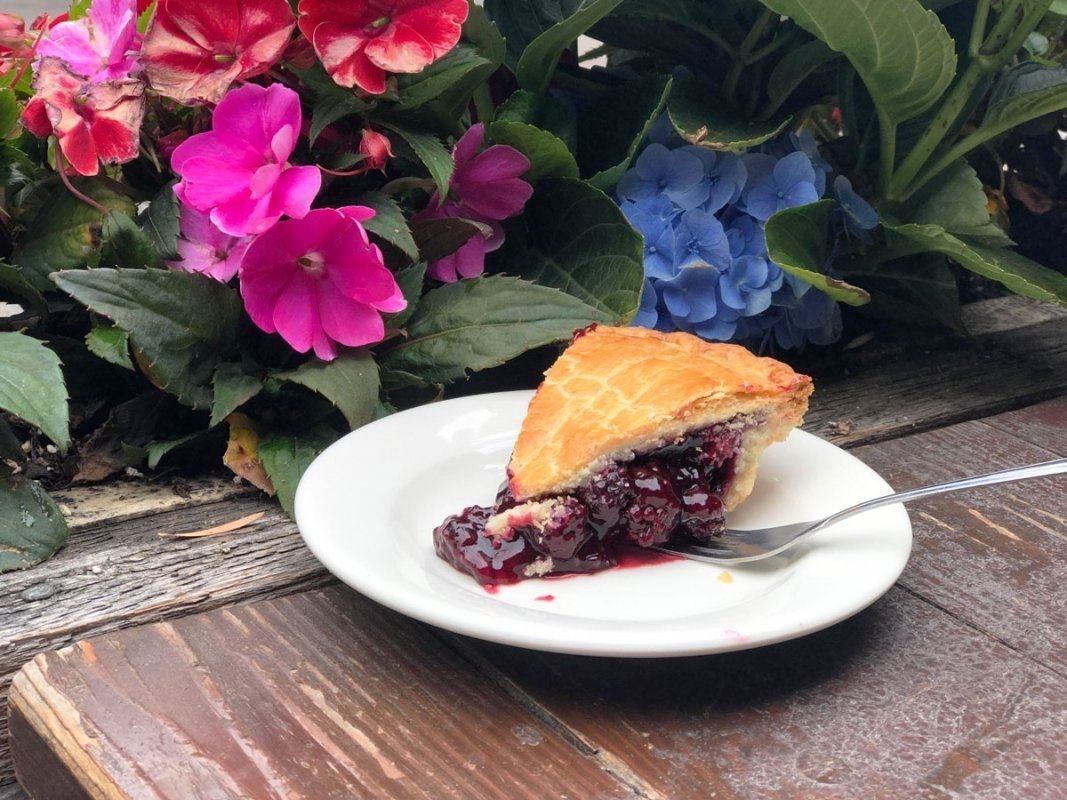 Knotts-Boysenberry-pie