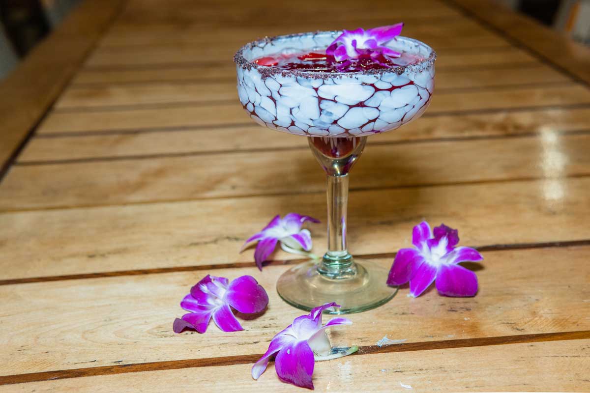 Taco-Rosa-Hibiscus-margarita