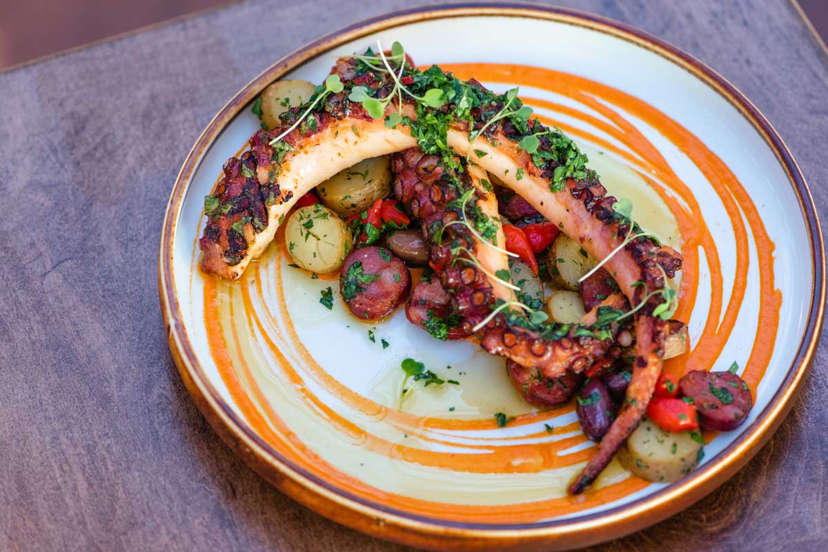 Fishbone-Laguna-Beach-Grilled-Octopus