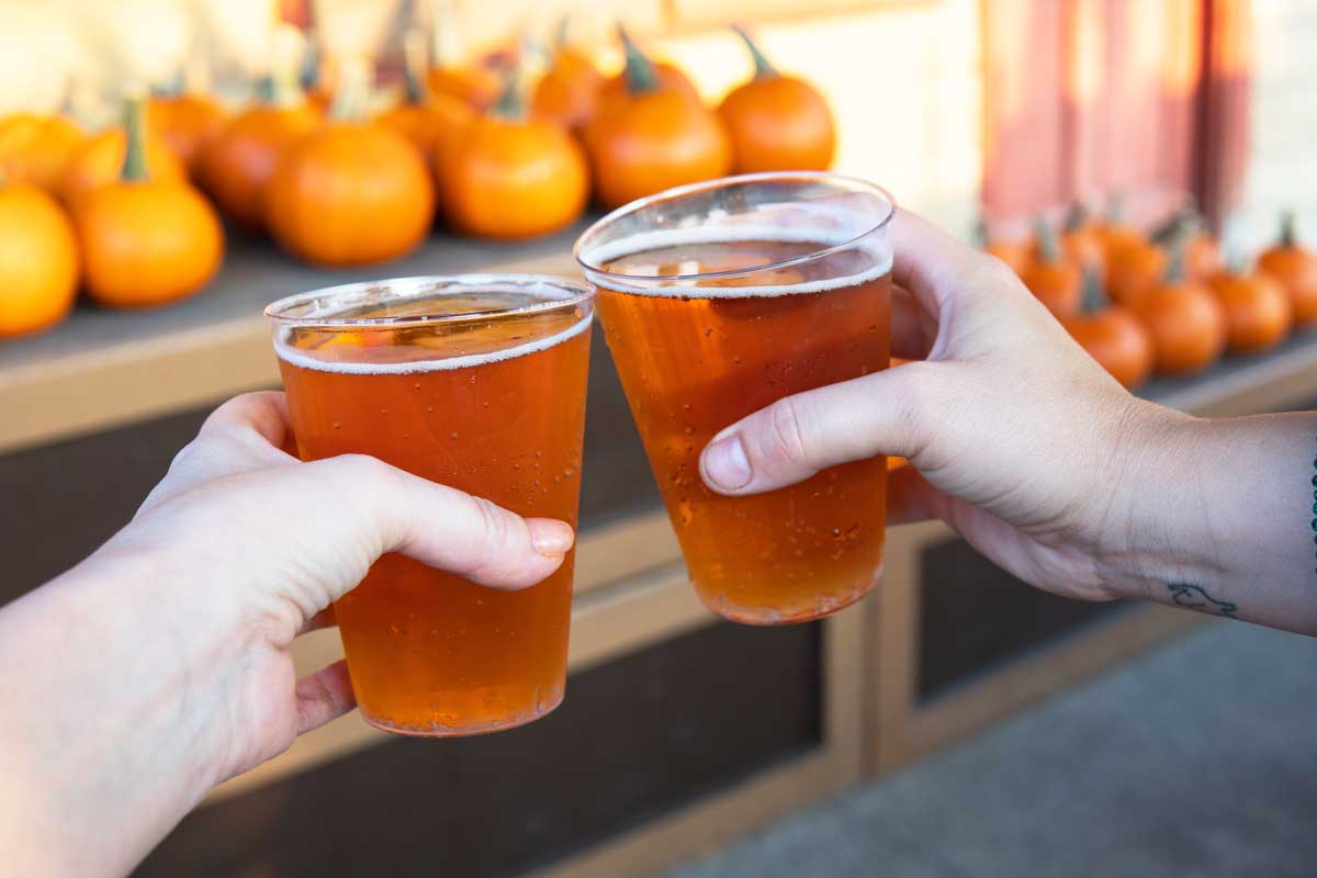 Knotts-Pumpkin-Cider