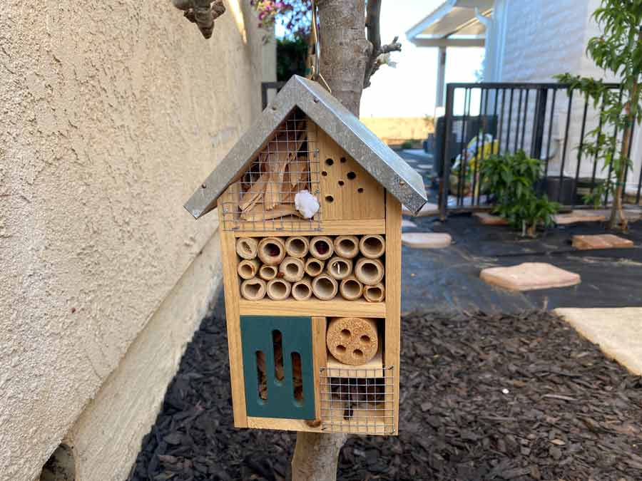 insect house for ladybugs