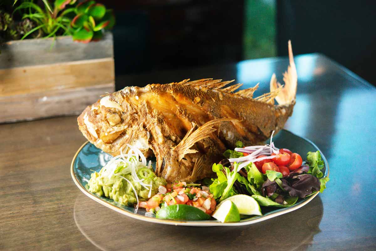 Descanso-whole-red-snapper