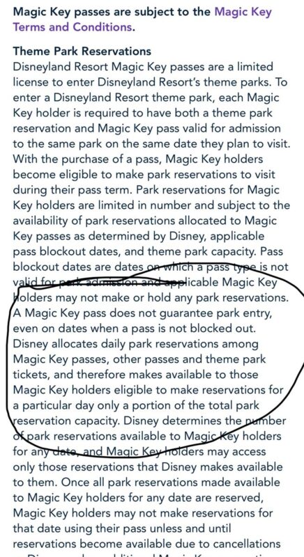 New-Disneyland-Magic-Key-Terms