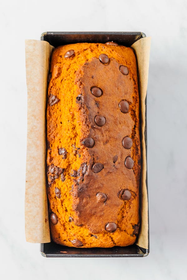 Chocolate-Chip-Pumpkin-Cake