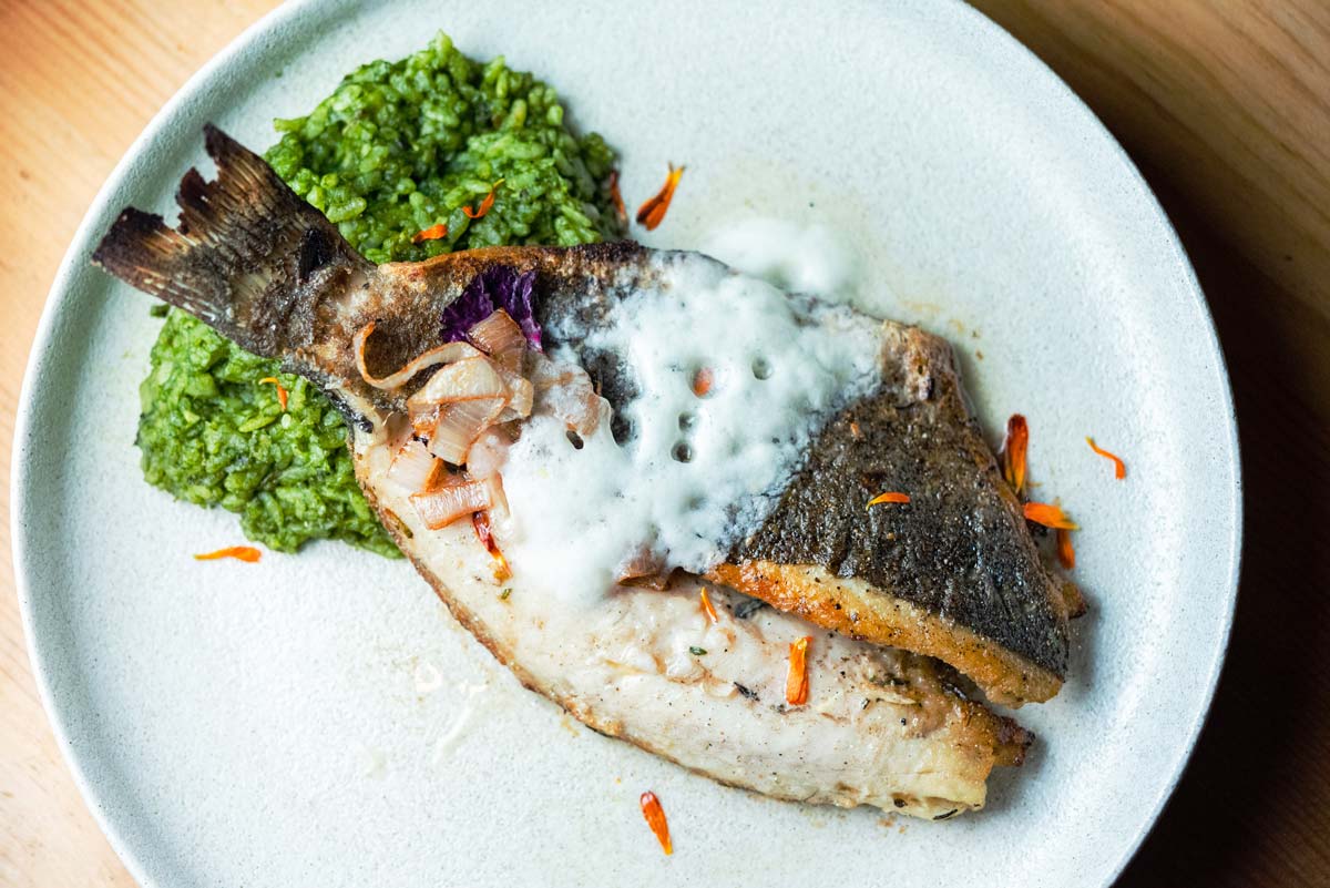 Alchemists-Garden-Branzino-best-paso-robles-restaurants