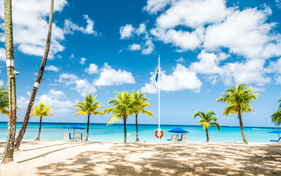 The 15 Very BEST Things to Do in Barbados for 2024