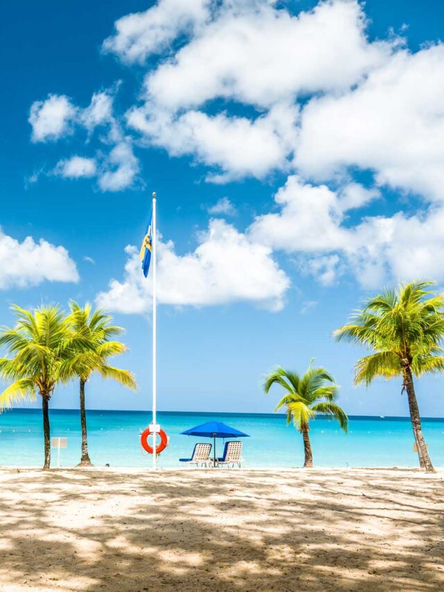 The 15 BEST Things To Do in Barbados