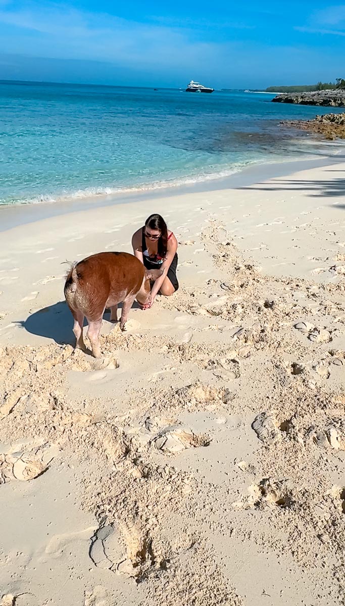 Feed-and-Swim-with-Pigs-Bahamas