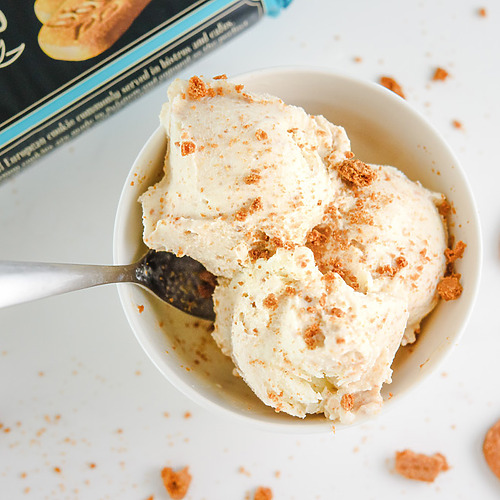 Cookie Butter Ninja Creami Ice Cream (Low Calorie & High Protein)