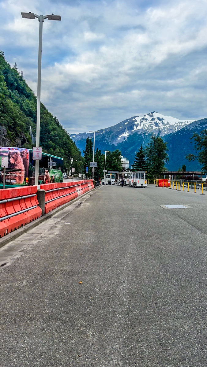 White Pass Railroad & Yukon Suspension Bridge: A Must-Do Excursion in Skagway, Alaska 2 Cruise-Ship-Tram-into-Skagway