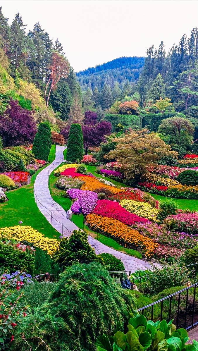 Butchart-Gardens-Suken-Garden