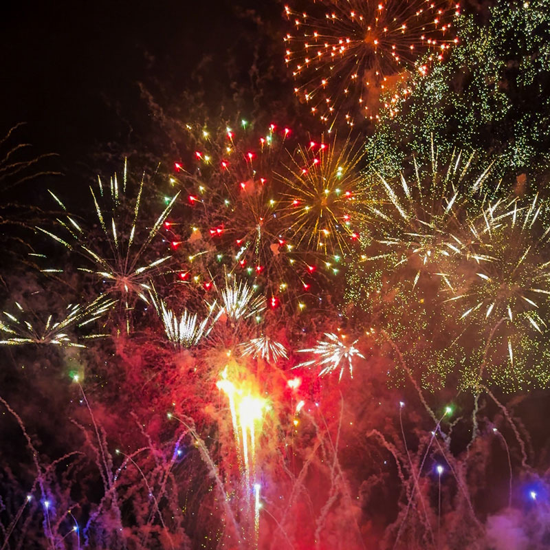 The Catch on Princess Cruises: Full Picture Review of Almost the Entire Menu 14 butchart-gardens-and-fireworks-excursion