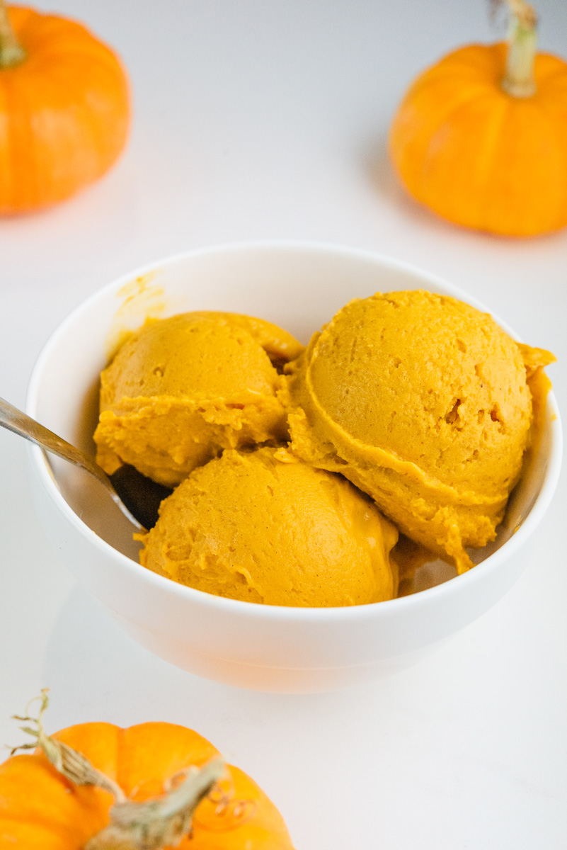 The Best Ninja Creami Pumpkin Ice Cream 5 Ninja-creami-pumpkin-ice-cream