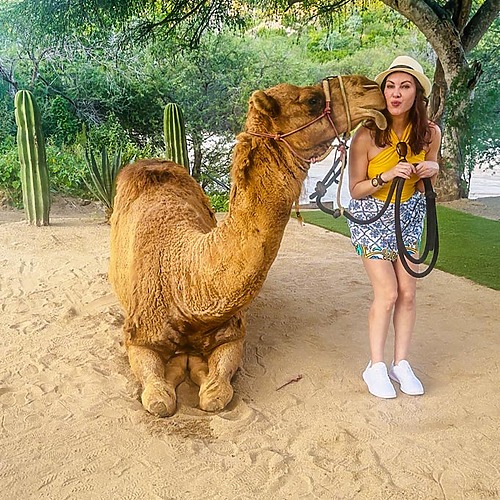 From Cruise to Camels: The Best Cabo San Lucas Excursion