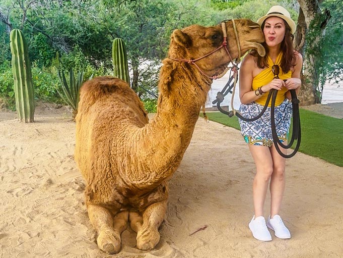 Best Things to Do in Roatán, Honduras on a Cruise, My Favorite Caribbean Port 10 Kissing-Camels-in-Cabo-San-Lucas