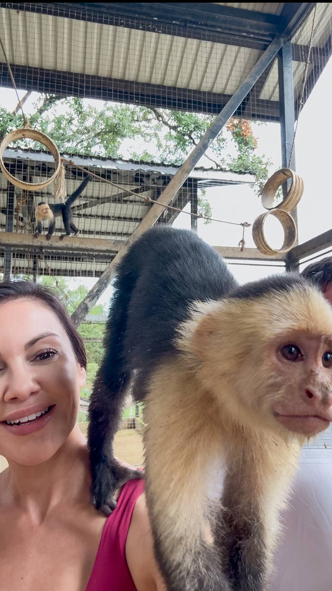 Best Things to Do in Roatán, Honduras on a Cruise, My Favorite Caribbean Port 2 Daniel-Johnsons-Monkey-and-sloth-hangout