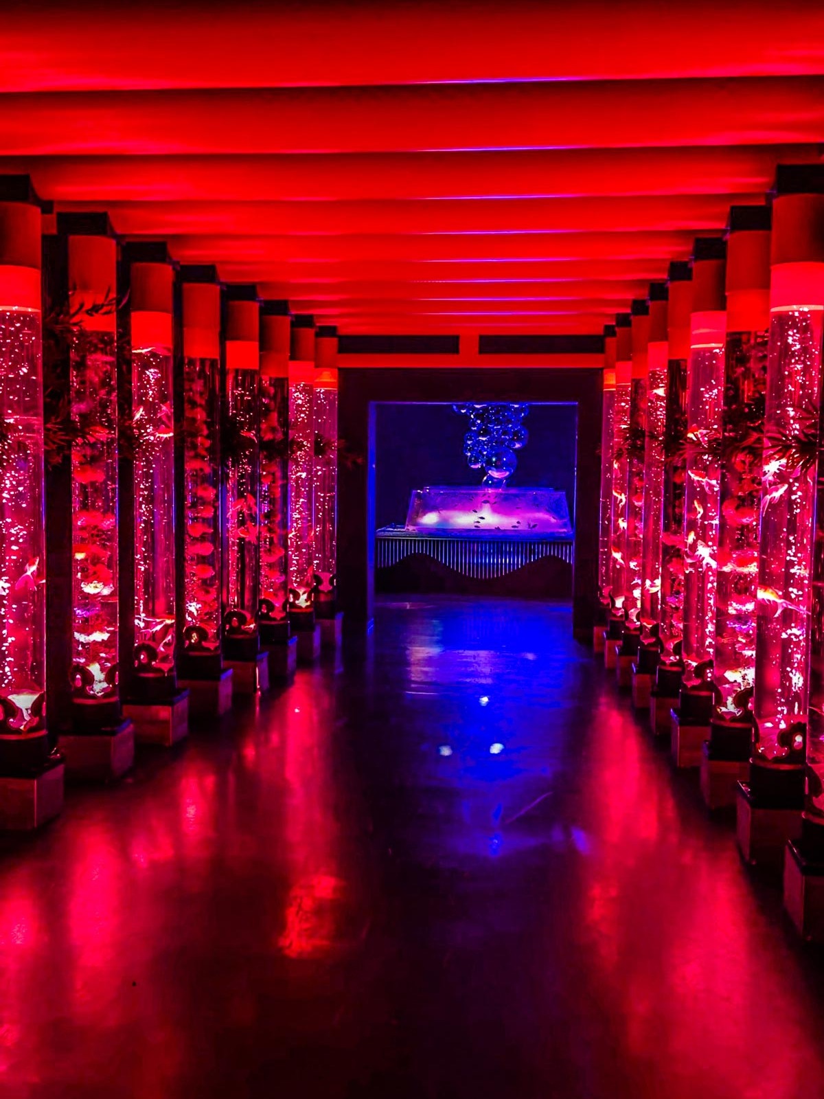 Secret Kyoto Bamboo Forest Without Crowds: Visit Kodai-ji Temple & Skip Arashiyama 8 Ginza-Art-Aquarium-Museum