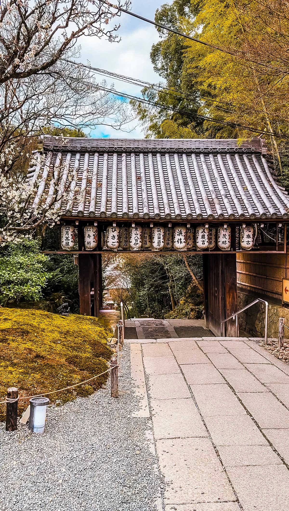 Secret Kyoto Bamboo Forest Without Crowds: Visit Kodai-ji Temple